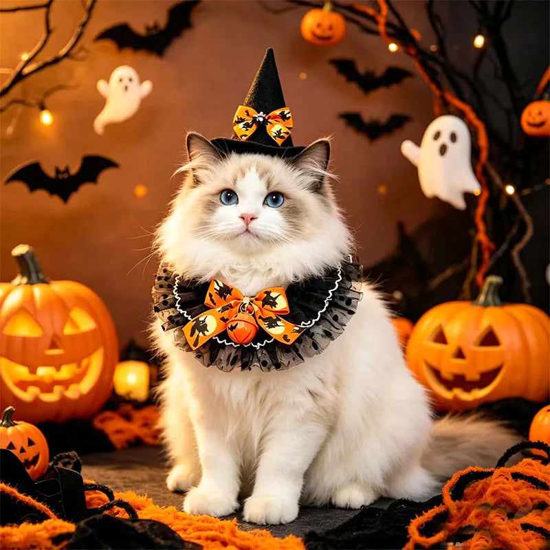 2PCS/SET Halloween Party & Festival DIY Decor Pet Cosplay Costume Polyester Pet Witch Hat Collar Set Pumpkin Bell Bow Design